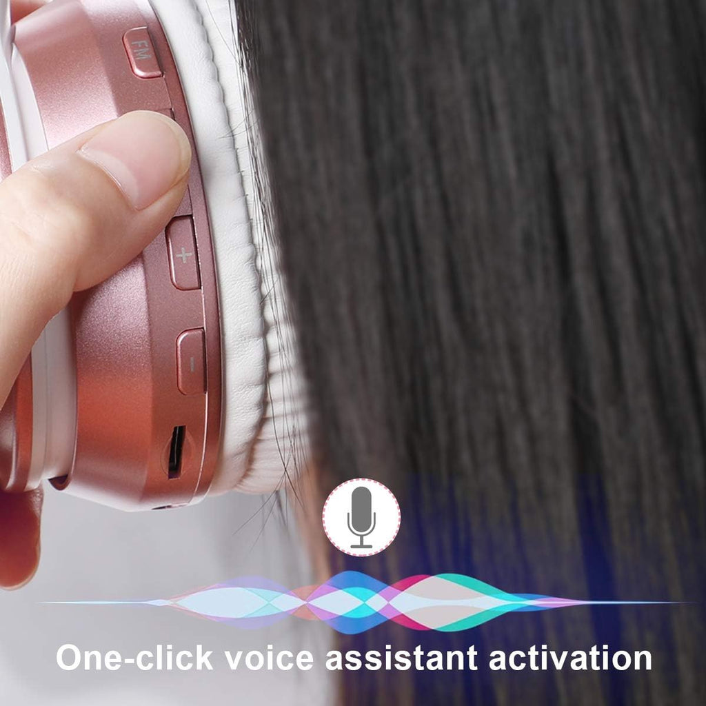 Bluetooth 5.3 Wireless Headphones Over Ear Foldable Stereo Mic LOBKIN